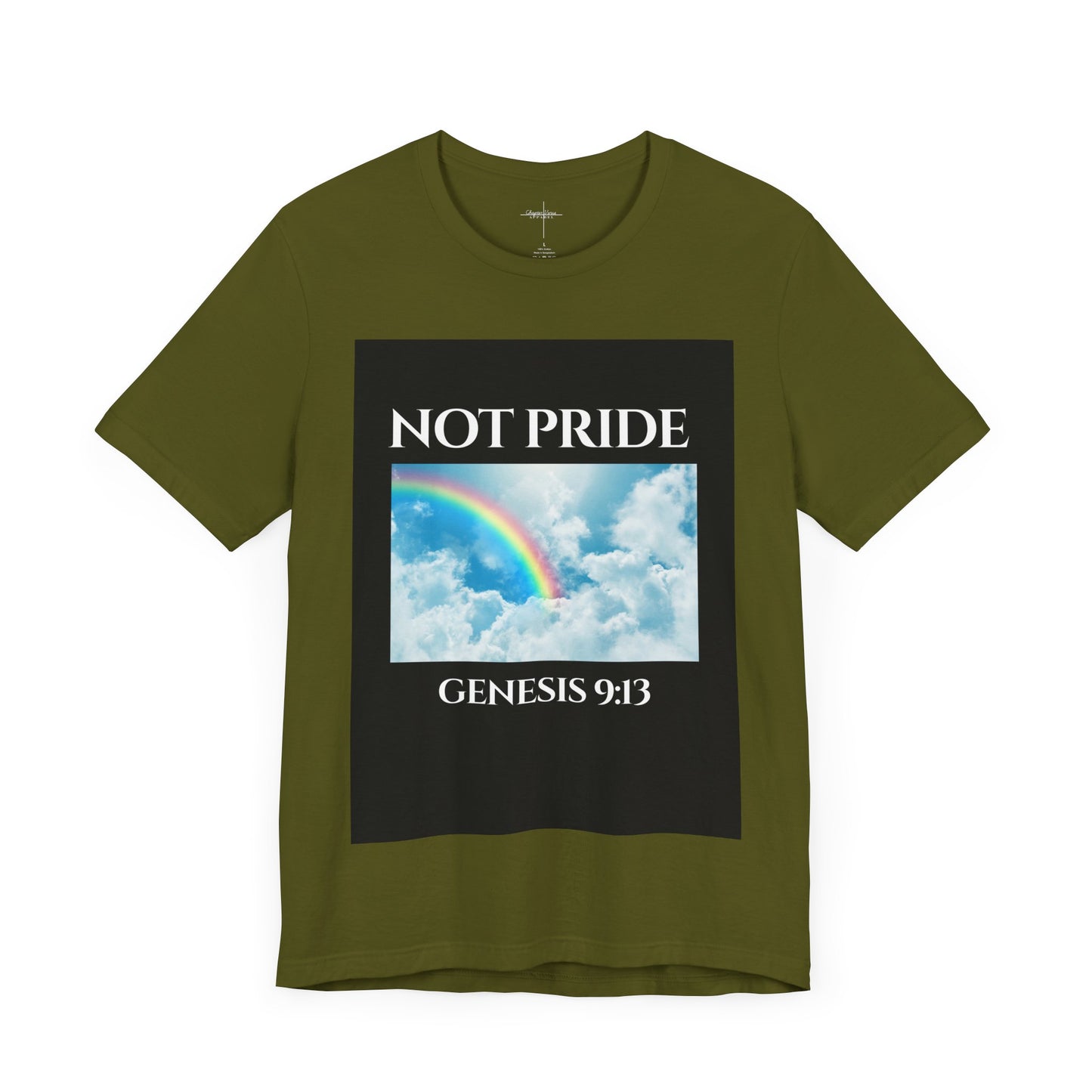 Not PRIDE Rainbow