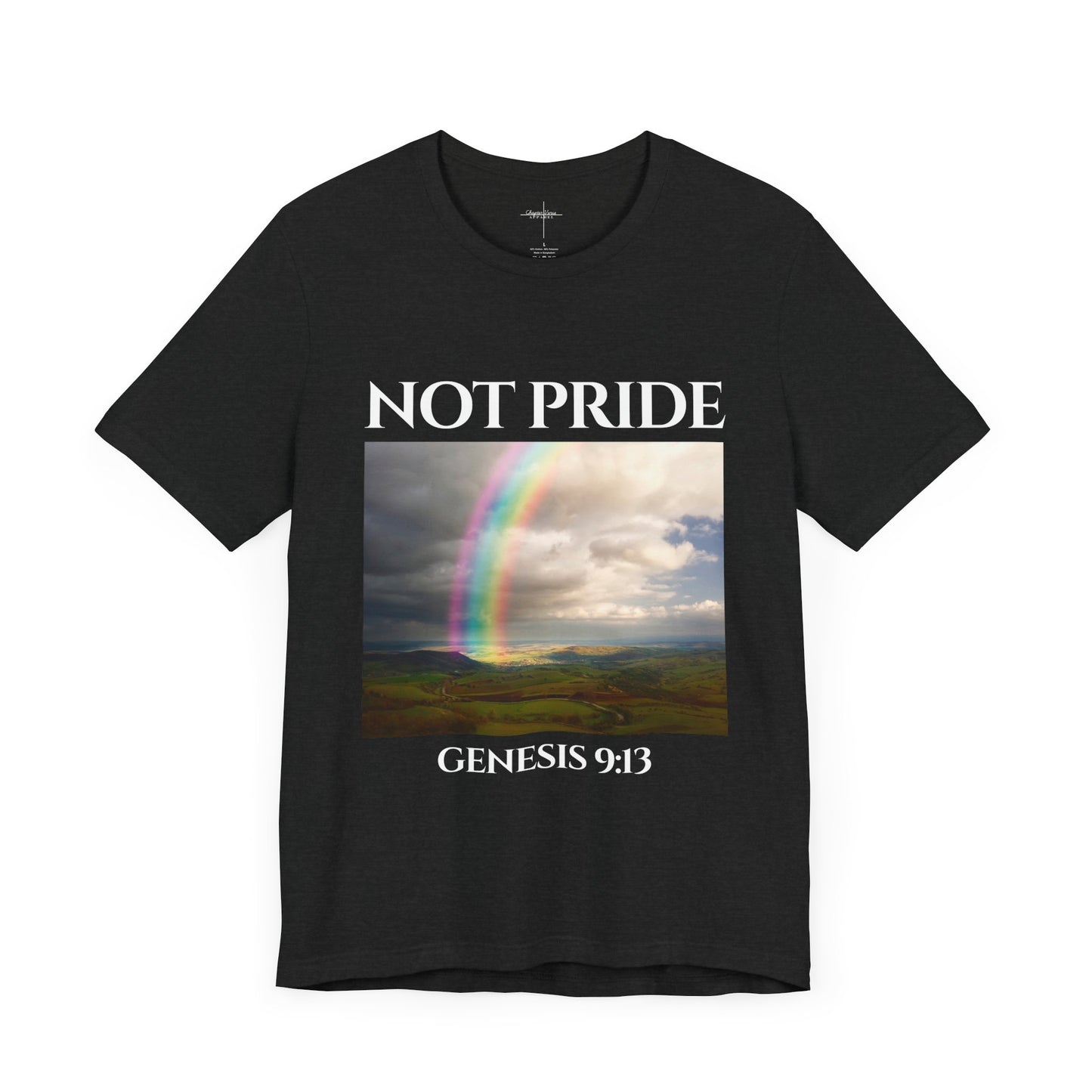 Not Pride Rainbow 2