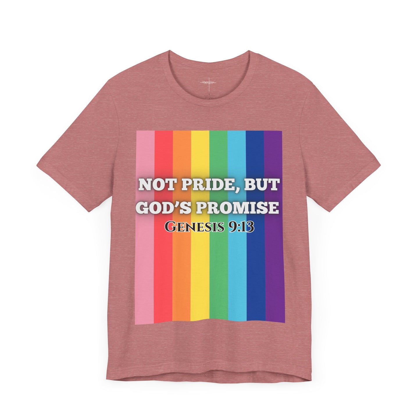 Not Pride colorful