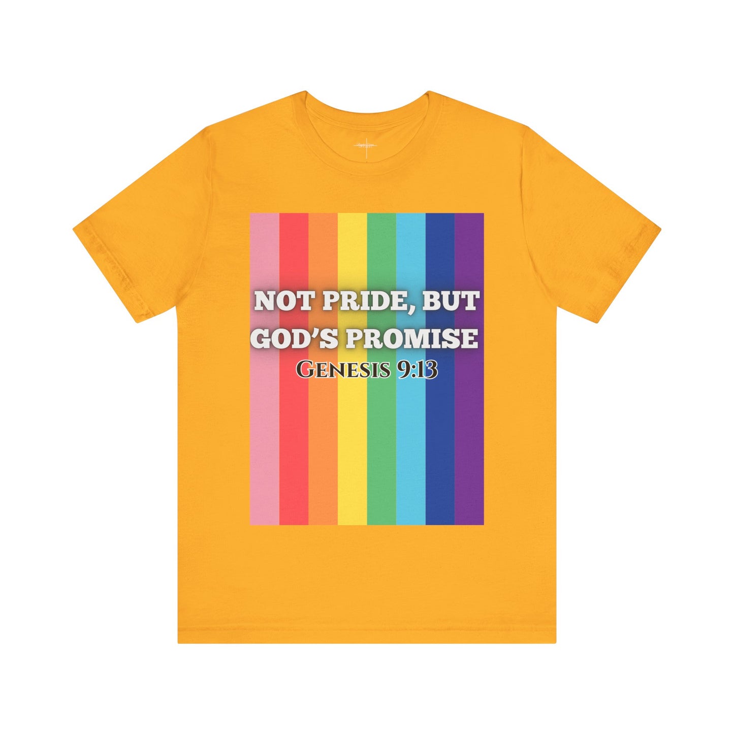 Not Pride colorful