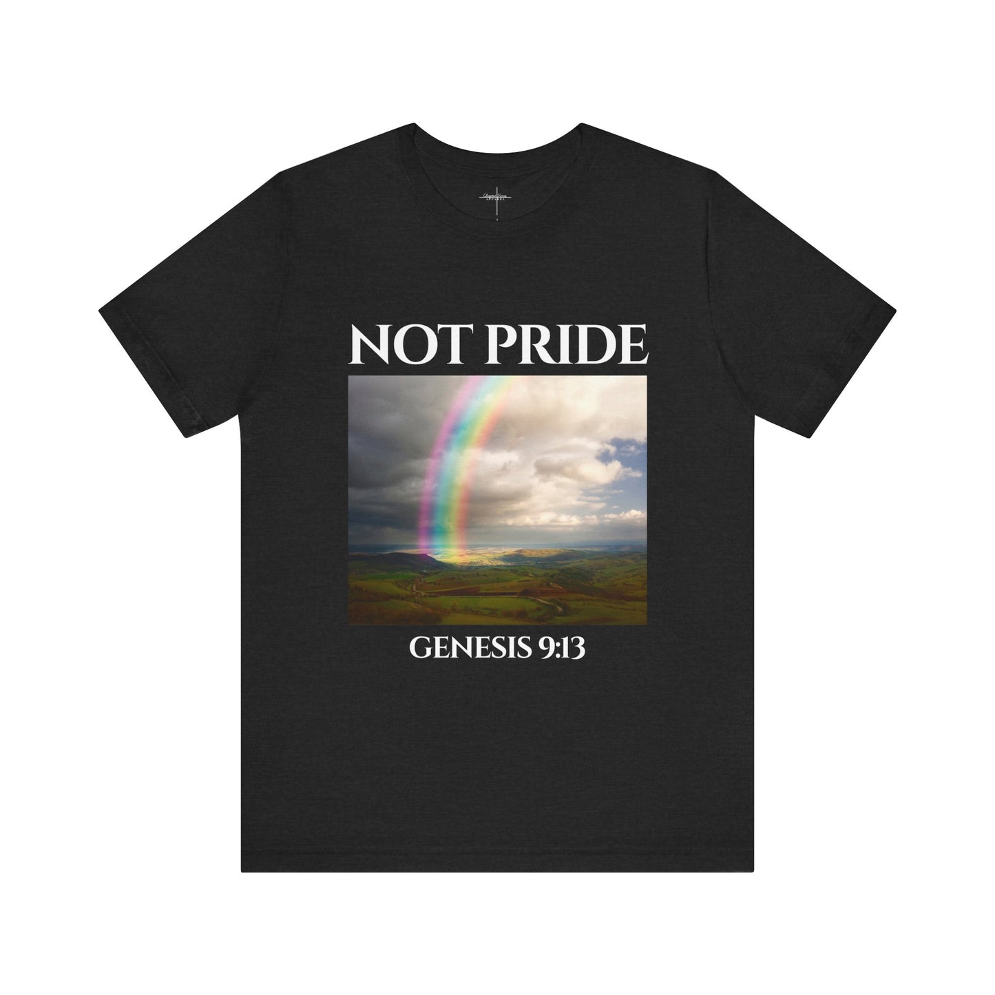 Not Pride Rainbow 2