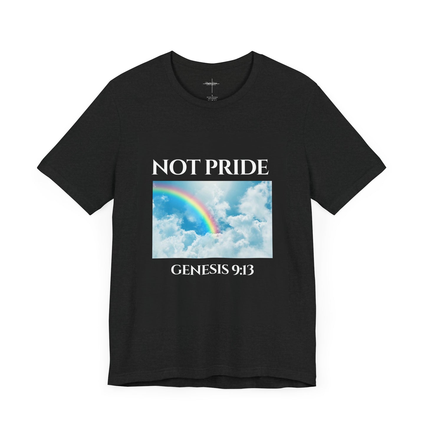 Not PRIDE Rainbow