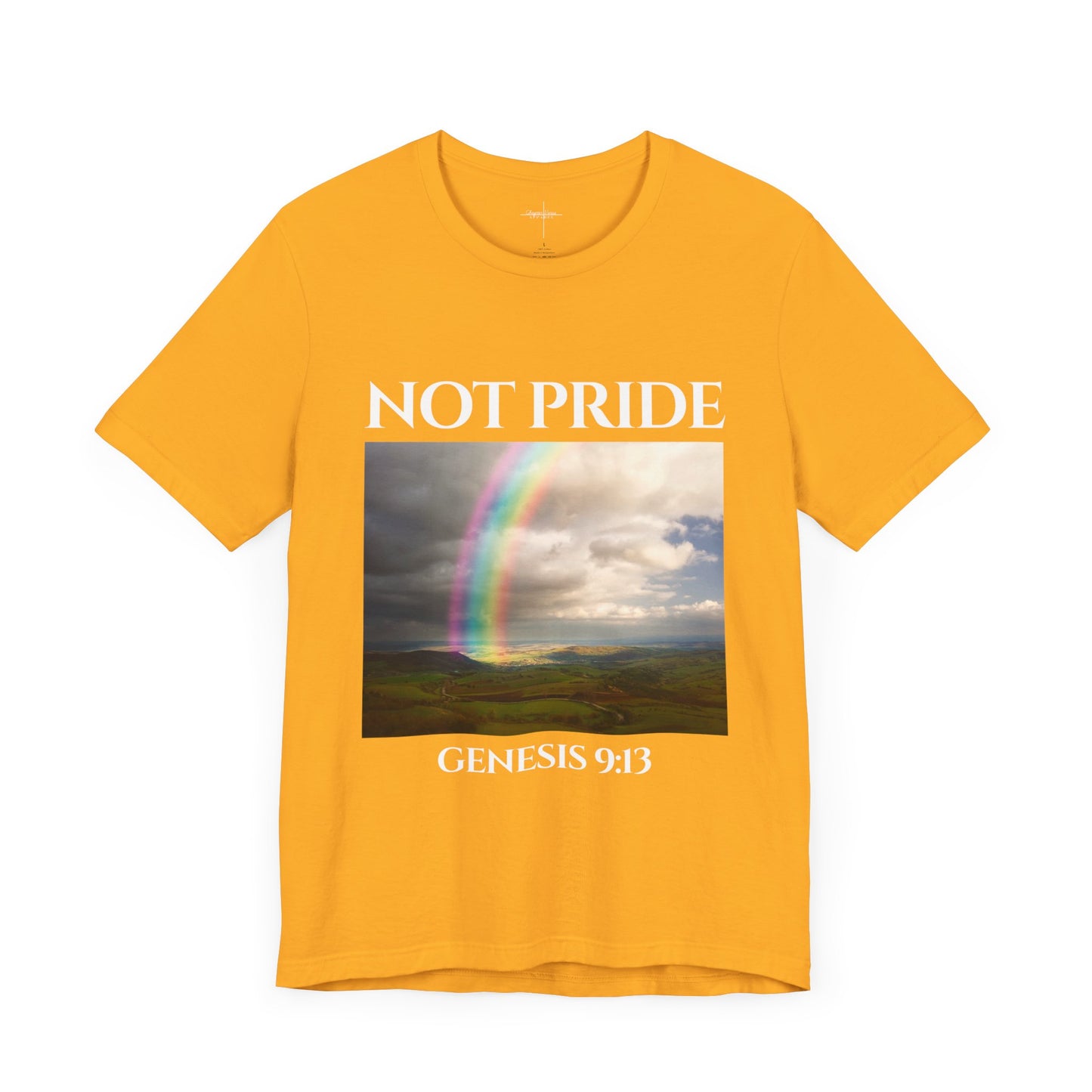 Not Pride Rainbow 2