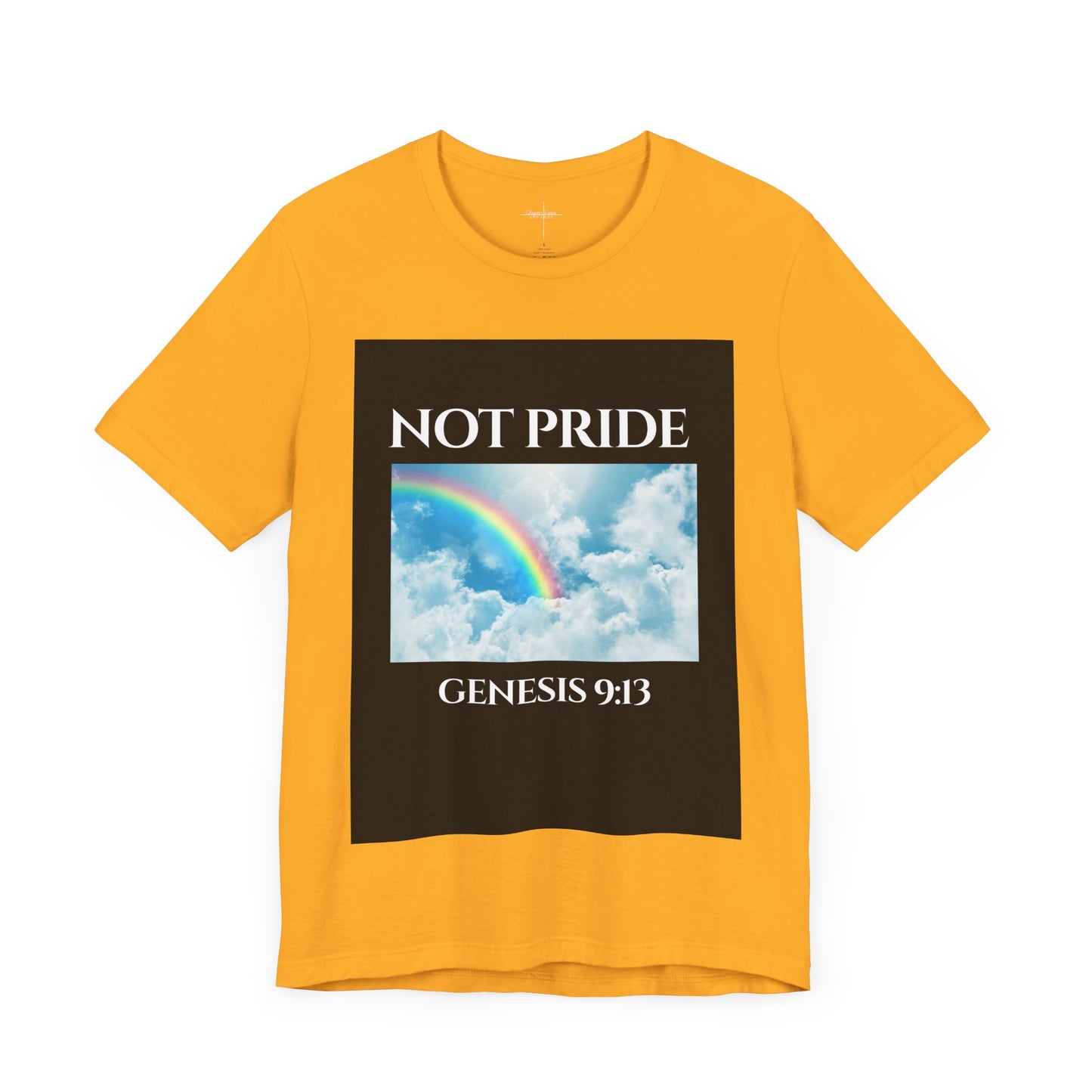 Not PRIDE Rainbow