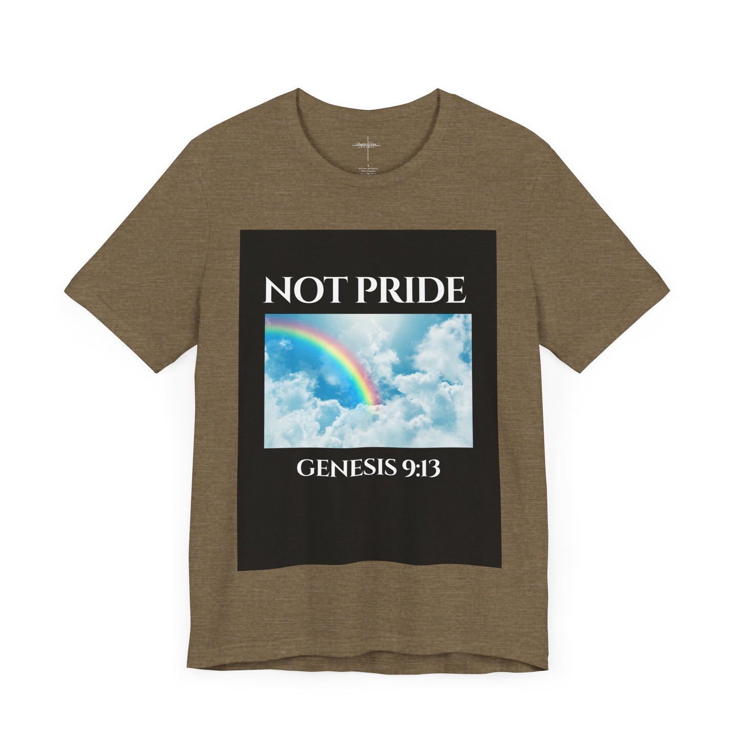Not PRIDE Rainbow