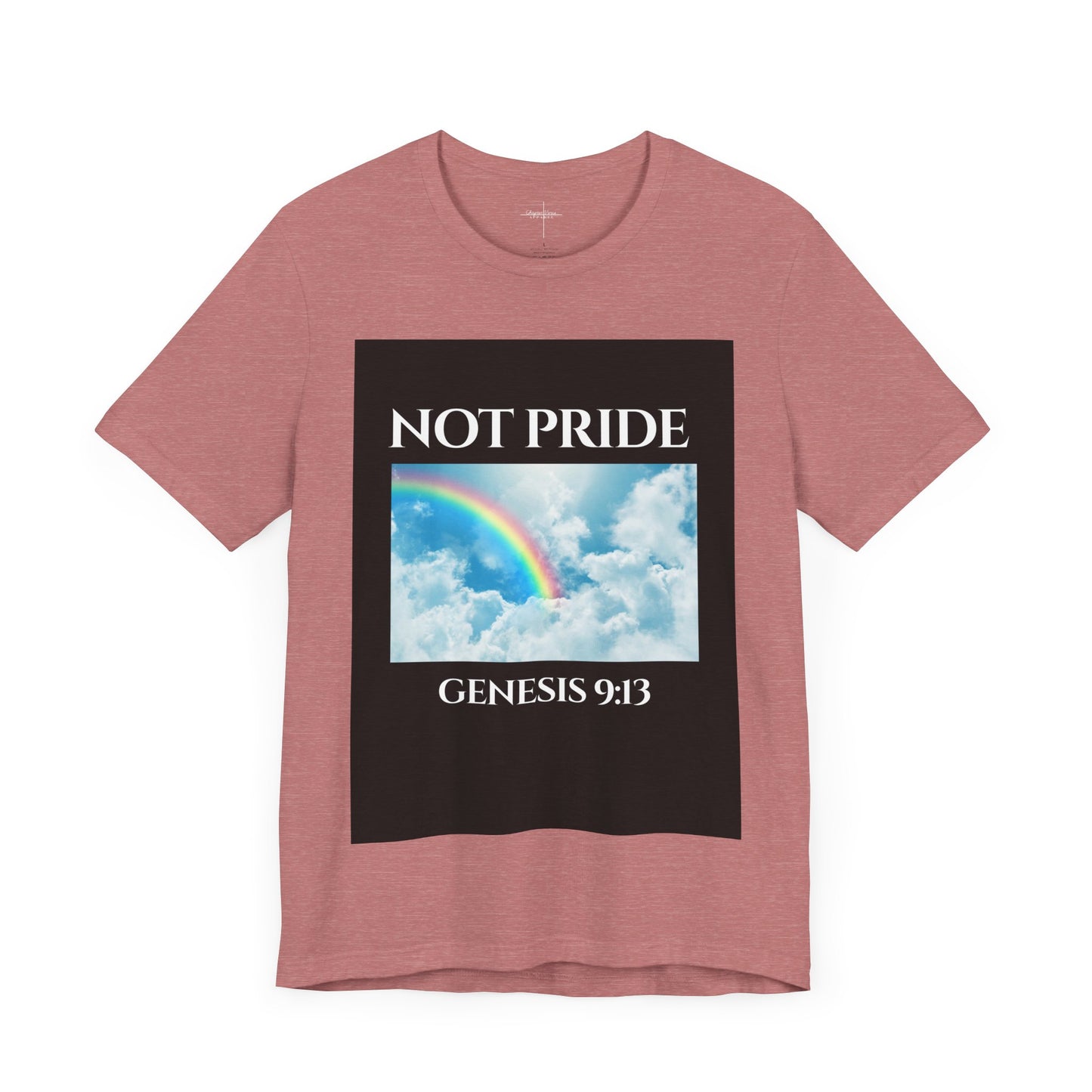 Not PRIDE Rainbow