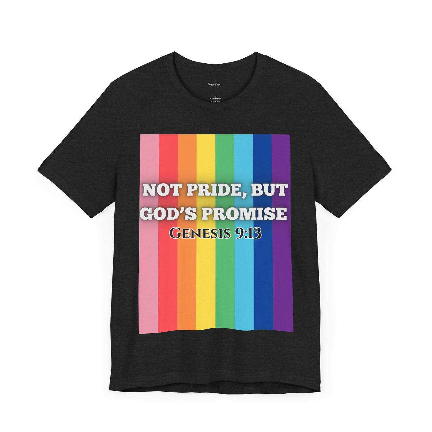 Not Pride colorful