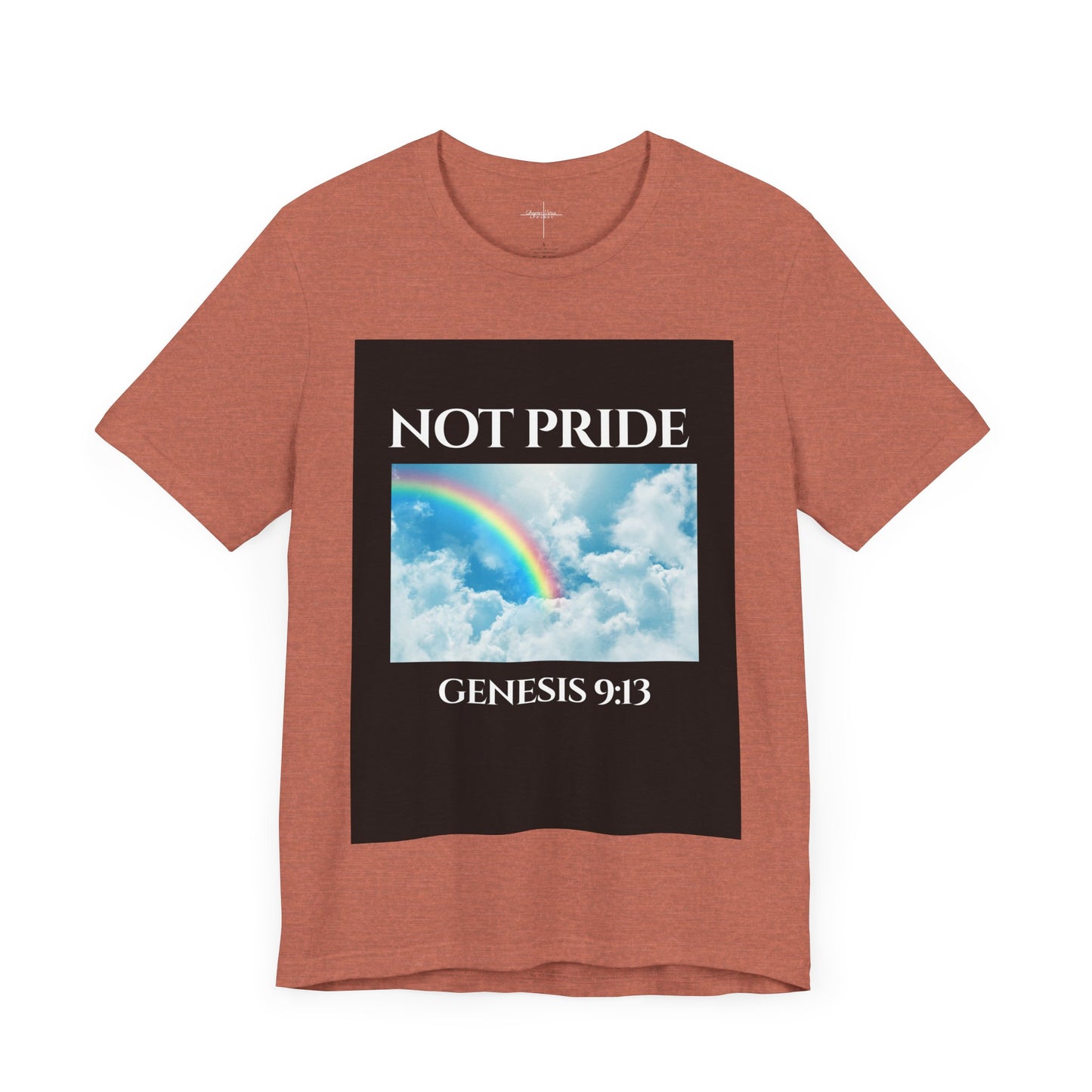 Not PRIDE Rainbow