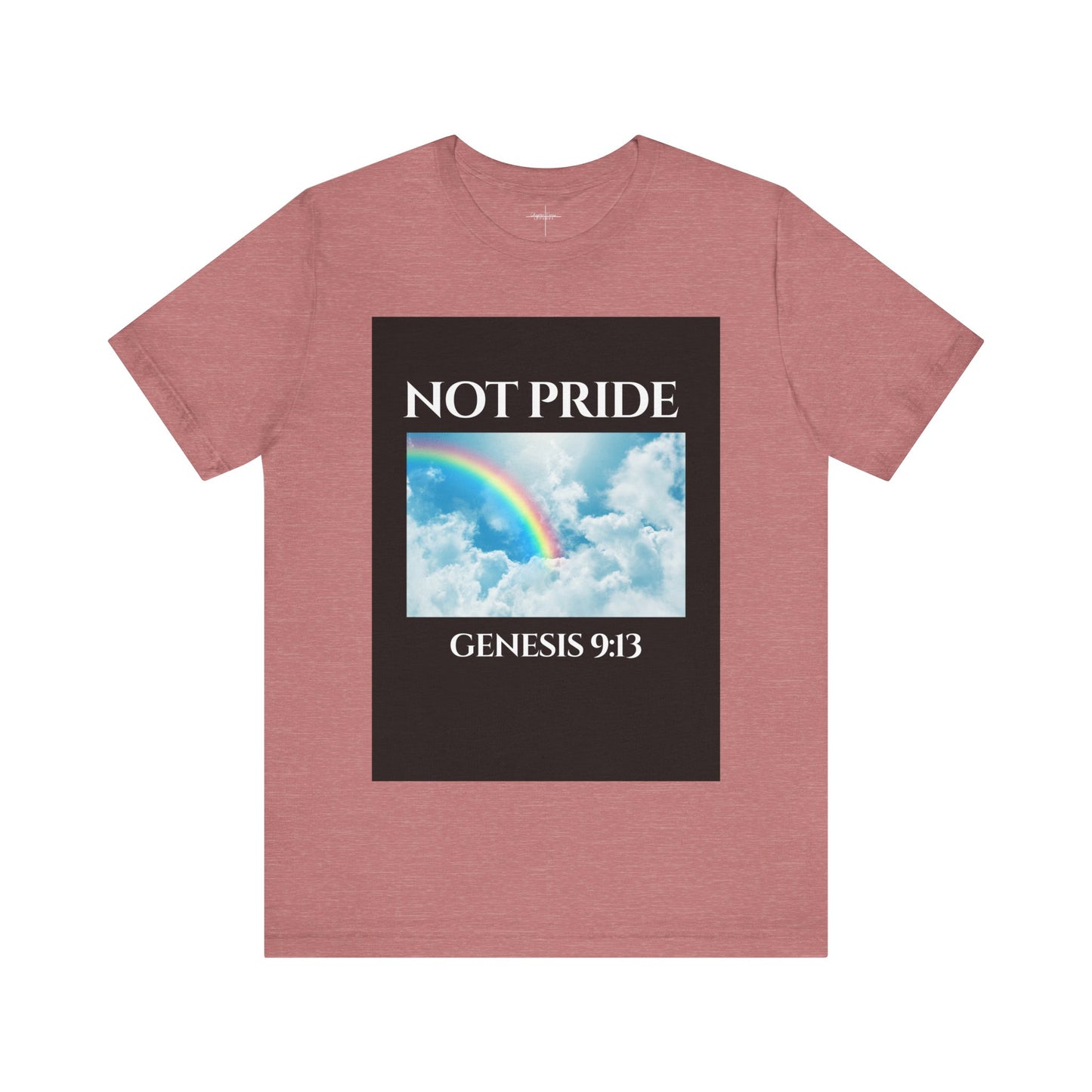 Not PRIDE Rainbow