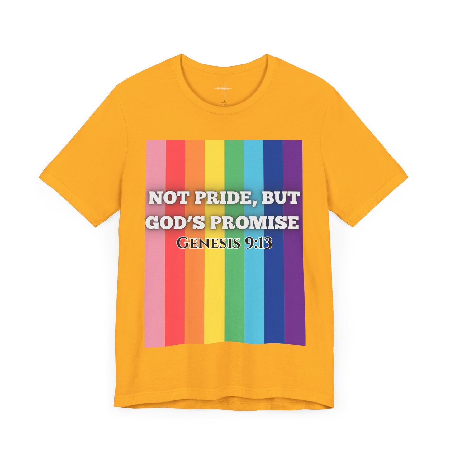 Not Pride colorful