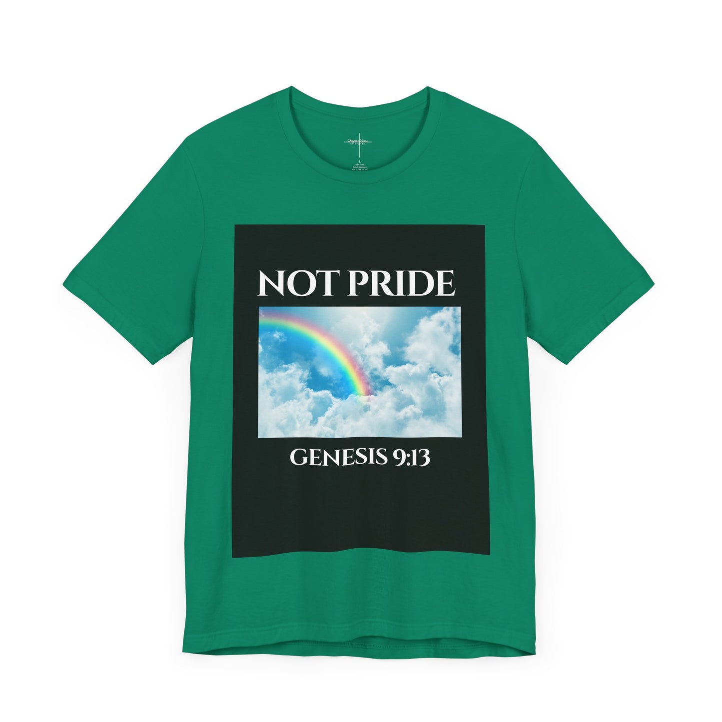 Not PRIDE Rainbow