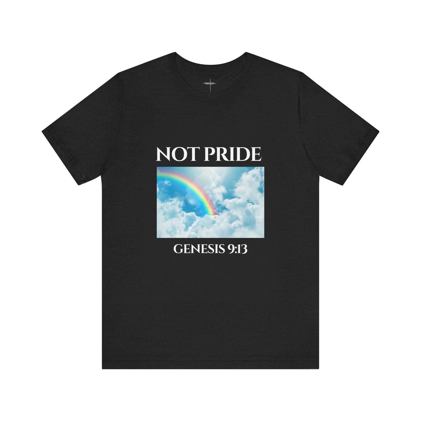 Not PRIDE Rainbow