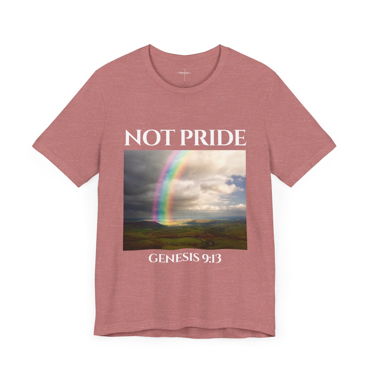 Not Pride Rainbow 2