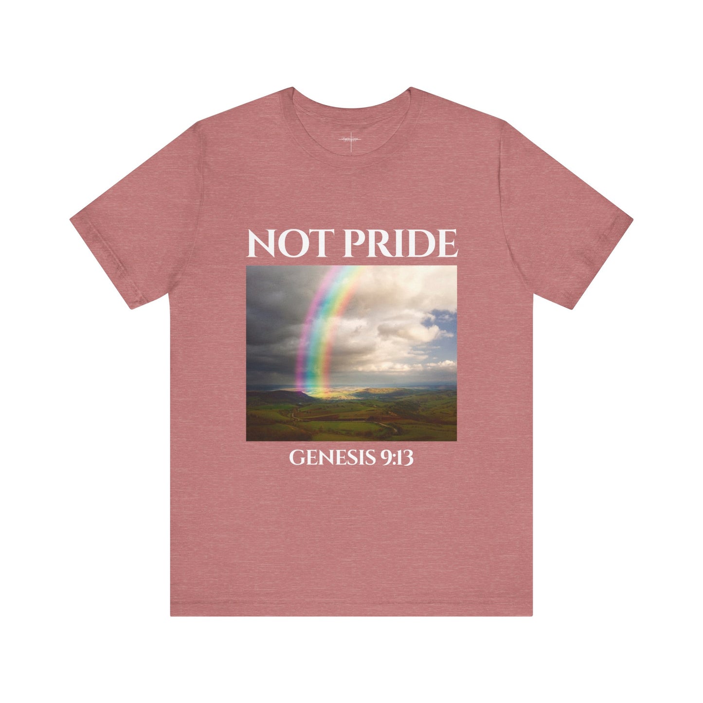 Not Pride Rainbow 2